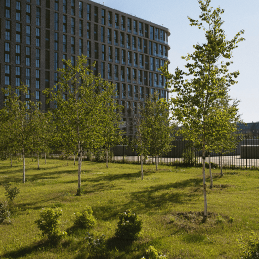 Благоустроенная территория